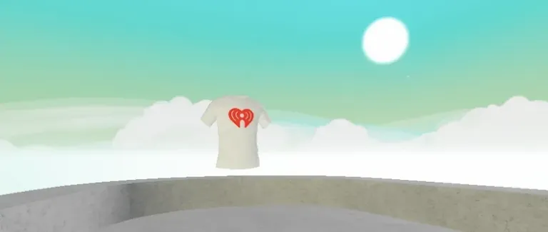 3. Find T-Shirt on the Roof
