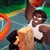 2D Basketball Codes