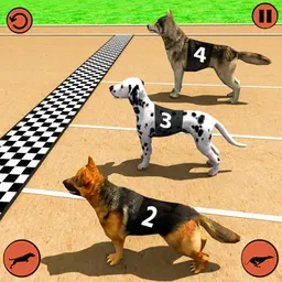 Pet Race game image