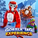 Gorilla Tag Experience game image