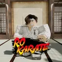 RoKarate game codes image