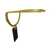 24kGoldn Concert Lanyard