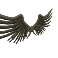 Clarks Shoelace Wings