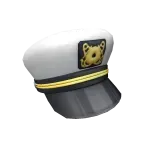 Party Captain