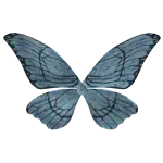 Butterfly Wings - SUNMI