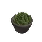 West Elm Shoulder Plant