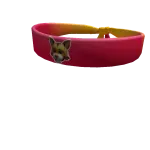 WildCatsHeadband