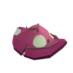 Wisdom Shroom Cap