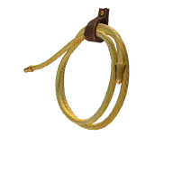 Lasso of Truth